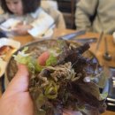 경성육회 | 송도 컨벤시아 맛집 아이와 가기 좋은 경성한우불고기 송도본점 솔직 후기 (feat. 인생 육회)