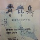 청록집