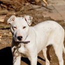 빵순돌이네 이미지