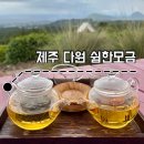 물한모금 - 유성구 복용동로 35 | 제주 다원 쉼한모금ㅣ녹차미로공원 후기 (부모님·아이랑 가볼만한 제주 힐링 여행지)