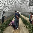 서부농기계임대사업장 이미지