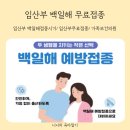 임산부 백일해 접종 시기 알아보고 부산 인구보건복지협회 무료 접종하고 온 후기