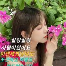 F. P. 슈베르트_ 피아노 소나타 제14번 A 단조, D.784 中 1악장 이미지