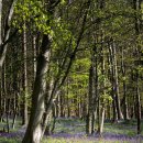 석바위한의원 이미지