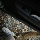 하늘다리펜션 | 바베큐, 캠프파이어 가능! 야외 히노끼탕이 있는 이색숙소, 가평 하늘다리 펜션