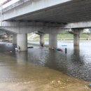 (구)김화교 이미지