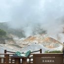 춘이농장 | 11개월 아기 해외여행 일본 홋카이도 3박4일 3, 4일차