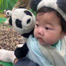 신나는 우리 동요 난타교실 | 아기 문화센터 언제부터? 5개월 아기 첫 문센 후기 (구미 롯데마트)