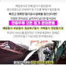 성루카의원 이미지