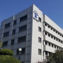 제주애서 이미지