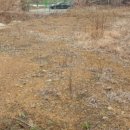 와촌면사무소 이미지