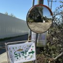 153농장 | 두돌아기랑 갈만한곳 찾다가 김포 치유농장 뒤란 방문!