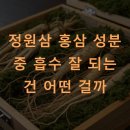 에브리 365마트 | 정원삼 홍삼 성분 중 흡수 잘 되는 건 어떤 걸까