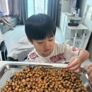 옹달샘반 조운 오란다 만들었습니다 이미지