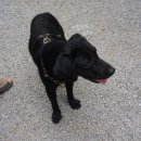 명희농장 이미지