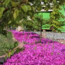 우산농장 이미지