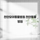 천안모아동물병원 이미지