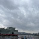 영오헬스 이미지