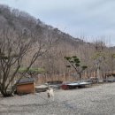 모림양과 | 써레봉은 깡패다