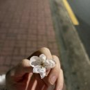 (주)제주왕 | 우울할 땐 우울해하지 말자^*