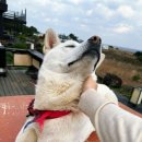 종달오션뷰 이미지