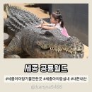 카페다조은 | 세종 아이랑 실내 가볼만한 곳 세종공룡월드 즐기는 꿀팁