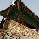 호권 Daum카페