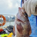 일산낚시점 이미지