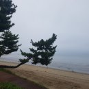 탐진사인