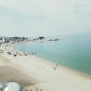 항도회센타 이미지