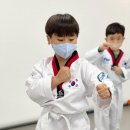 용인대 시선 태권도장 이미지