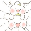 평택워시돔 이미지