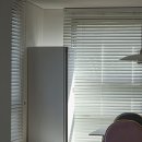 주식회사신성의숲 | 제주 웰니스 리조트 추천, 해외 고객이 기억한 건 사람과 공간 제주 힐링 숙소 신성의 숲