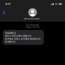 손시스시 이미지