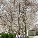 더스윗미 | 제주 웨딩스냅 단스윗미 촬영후기