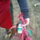 서현농장 이미지