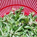 후니농장 이미지