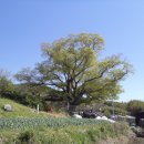 외동마을경로당 이미지