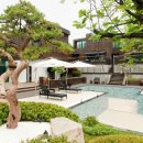 타피올라 이미지