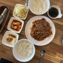 세종낙지 초담골(낙지요리전문점) | 세종 조치원 맛집 ‘세종낙지 초담골’ 낙지덮밥 솔직후기