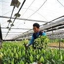 김종석농장 이미지