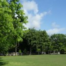 달그린캠프 이미지