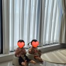 대전 청주 독채키즈펜션 모래놀이 에어바운스 있는 펜션 코커스101 6호 다녀온 내돈내산 후기