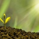 군포시 주몽종합사회복지관 이미지