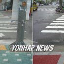 서울맹,농학교 이미지