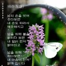 쎨 花님~! 이미지