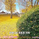 [전국명소탐방78] 🏵️가을철은행나무 풍경모음 🏵️전주한옥마을"향교","청연루" 이미지