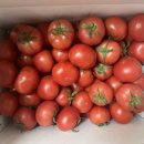 율이네농장 | 율이네농장 완숙토마토 후기