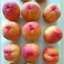 삼태산 농장 이미지