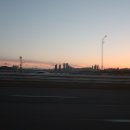 잣나무향기 이미지